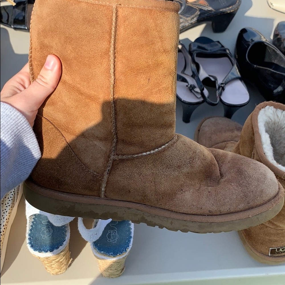 Chestnut uggs